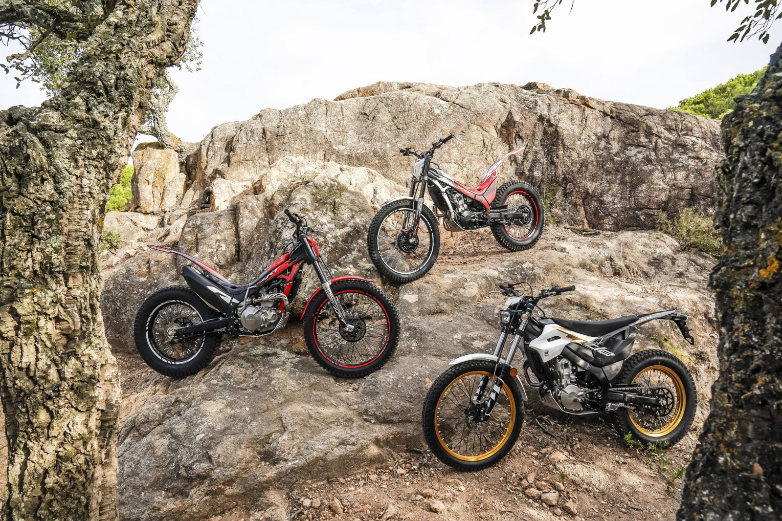 The complete 2027 Montesa line-up.