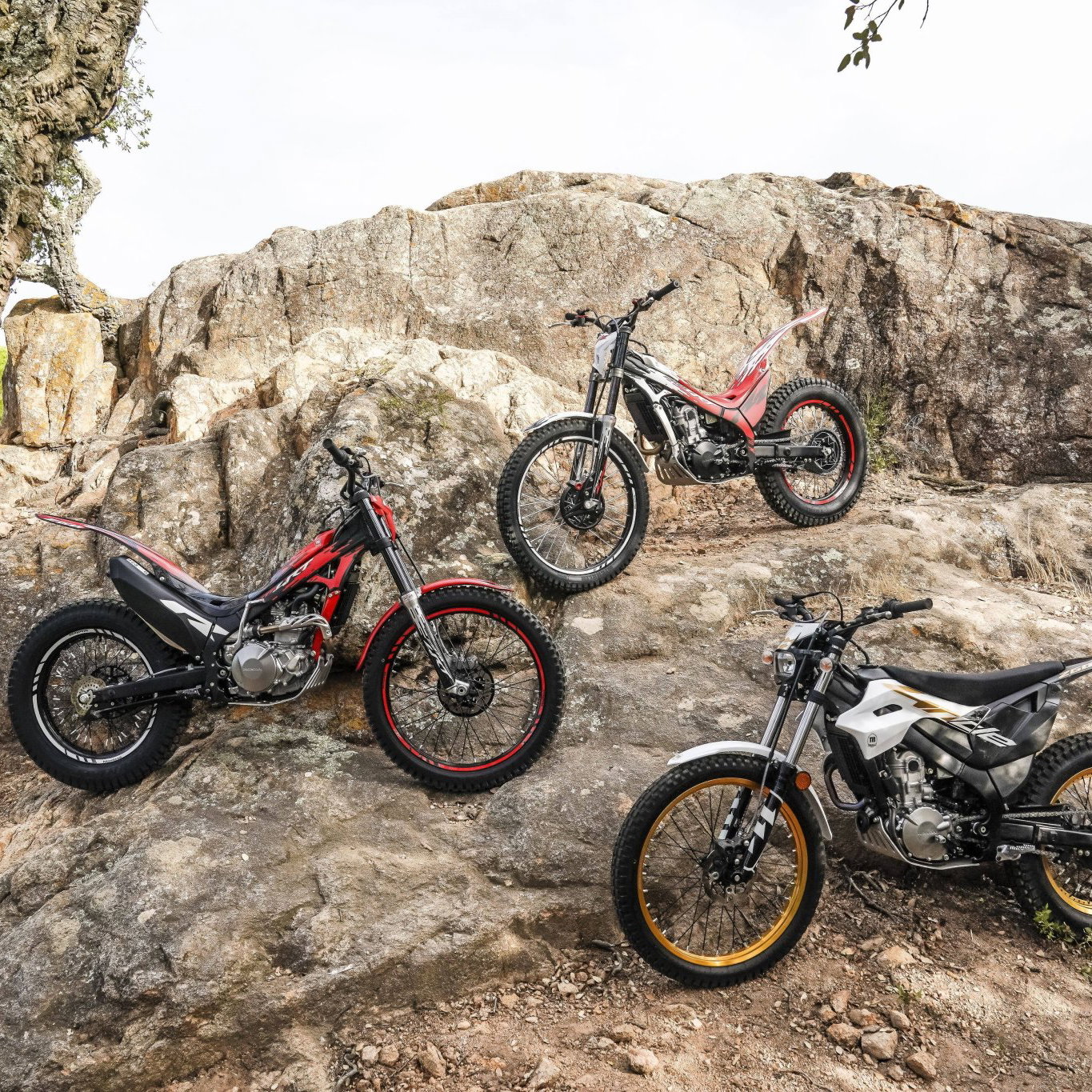 The complete 2027 Montesa line-up.