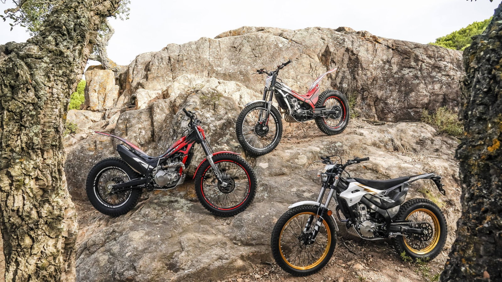 The complete 2027 Montesa line-up.