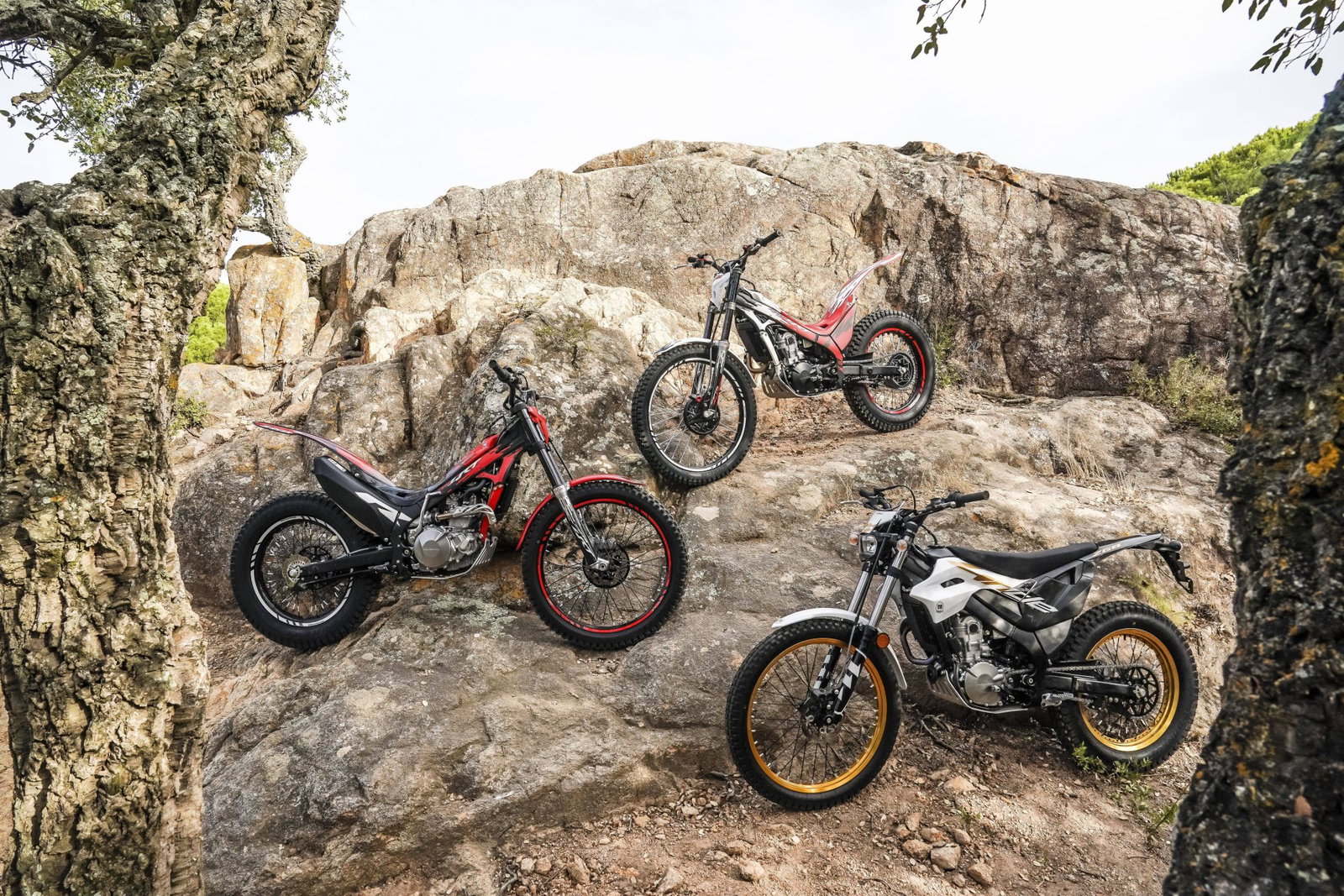 The complete 2027 Montesa line-up.