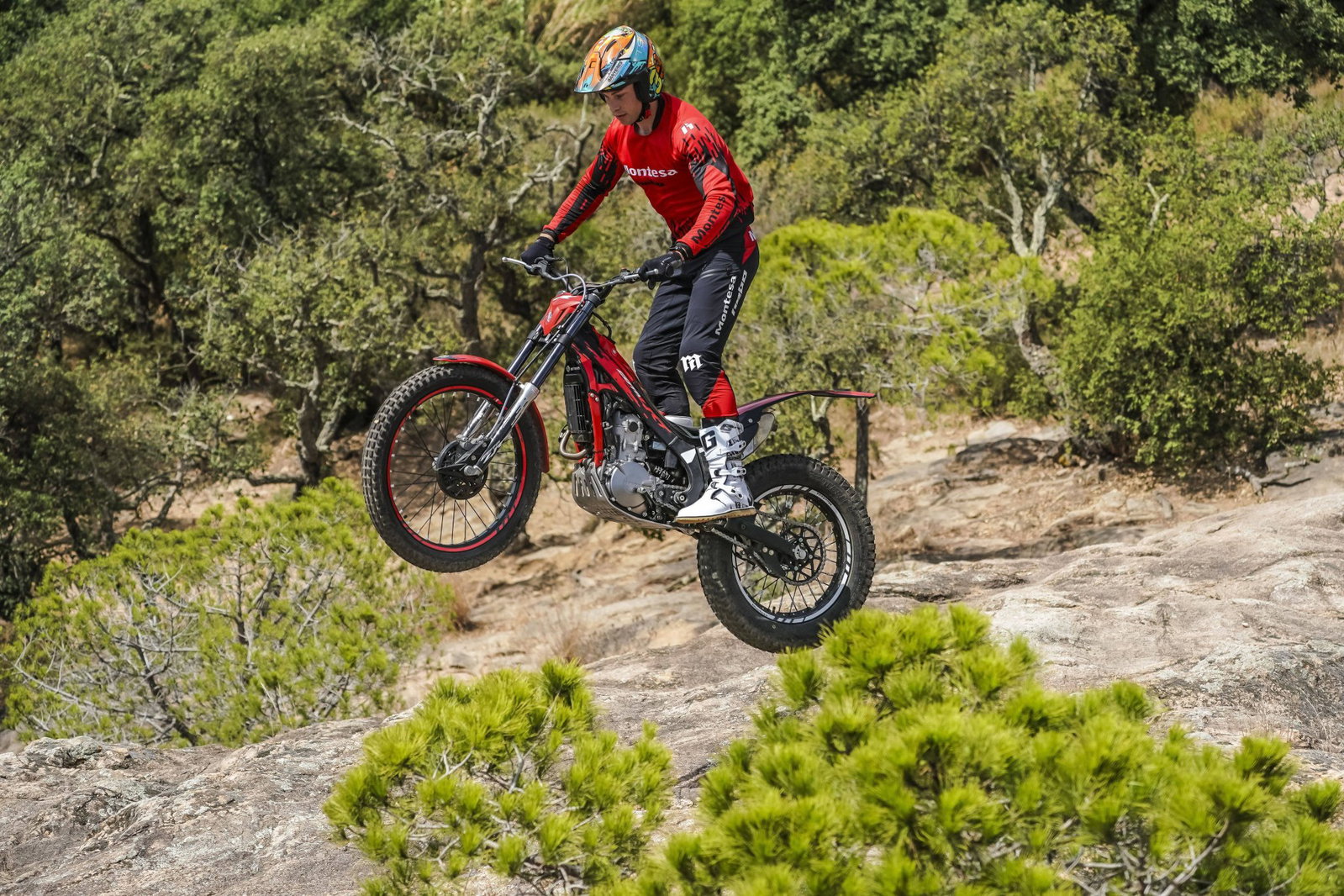 2027 Montesa 4RT 260R in action.