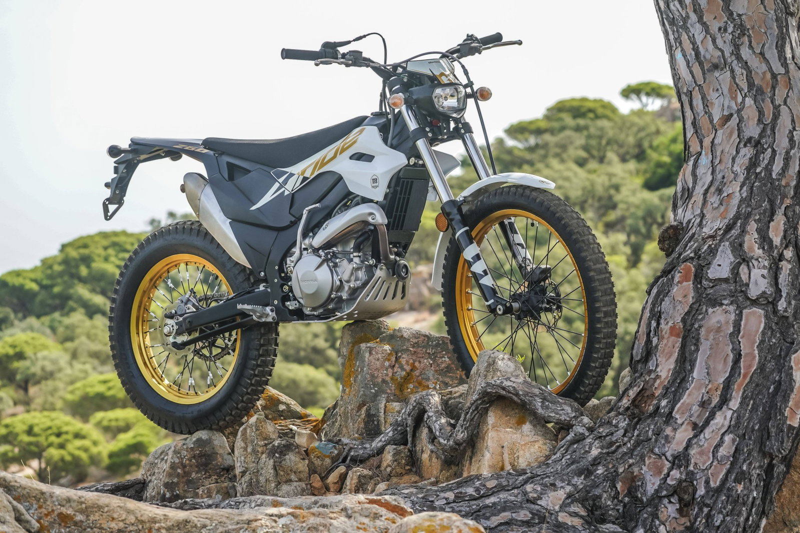 The 2027 Montesa 4Ride.
