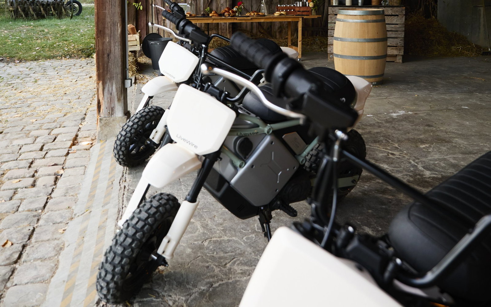 The LiveWire S4 Honcho Trail - static
