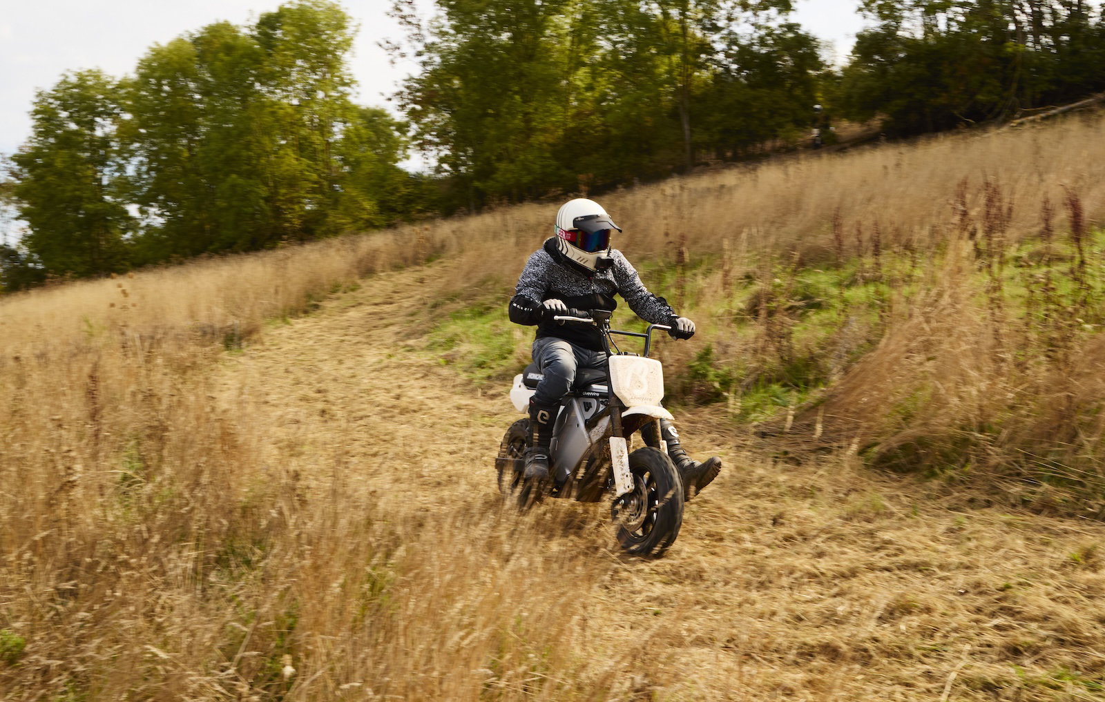 The LiveWire S4 Honcho Trail - riding