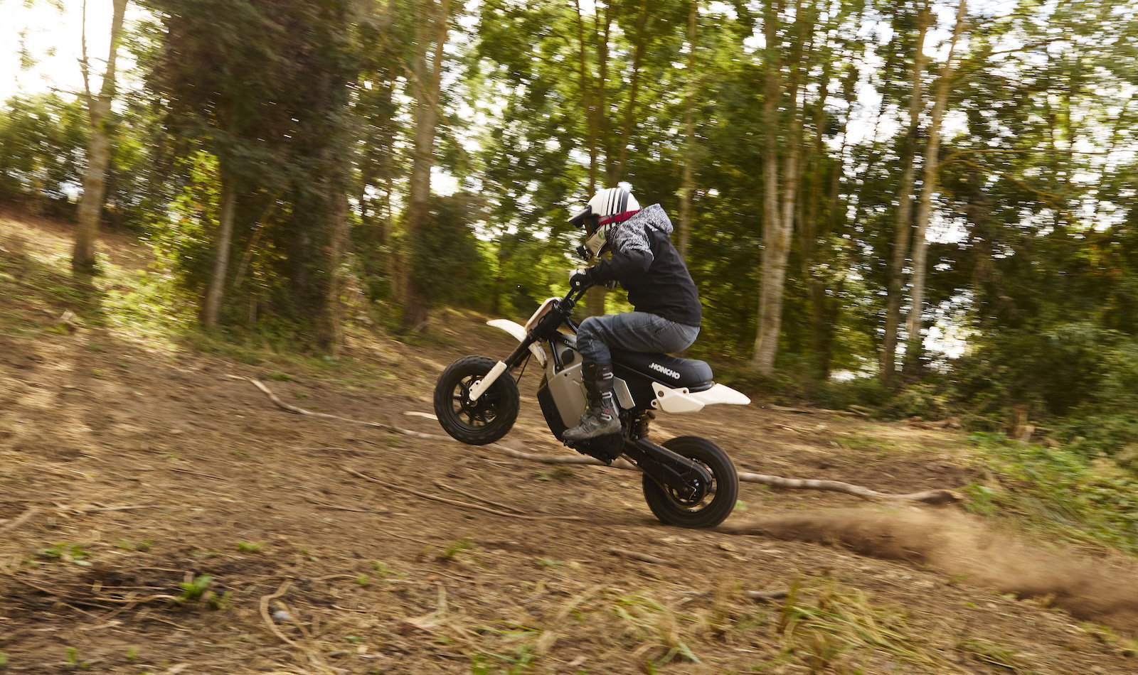 The LiveWire S4 Honcho Trail - riding