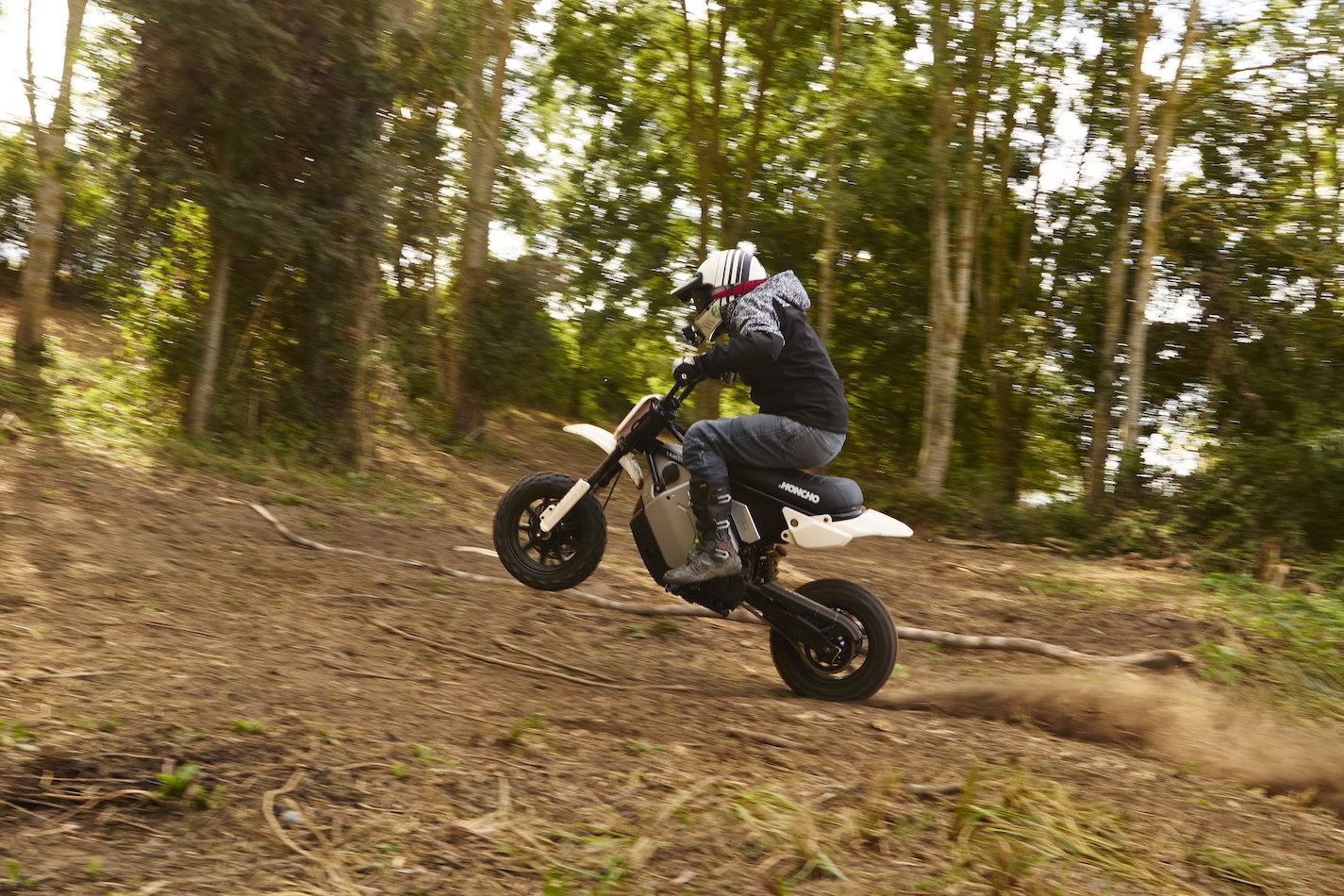 The LiveWire S4 Honcho Trail - riding