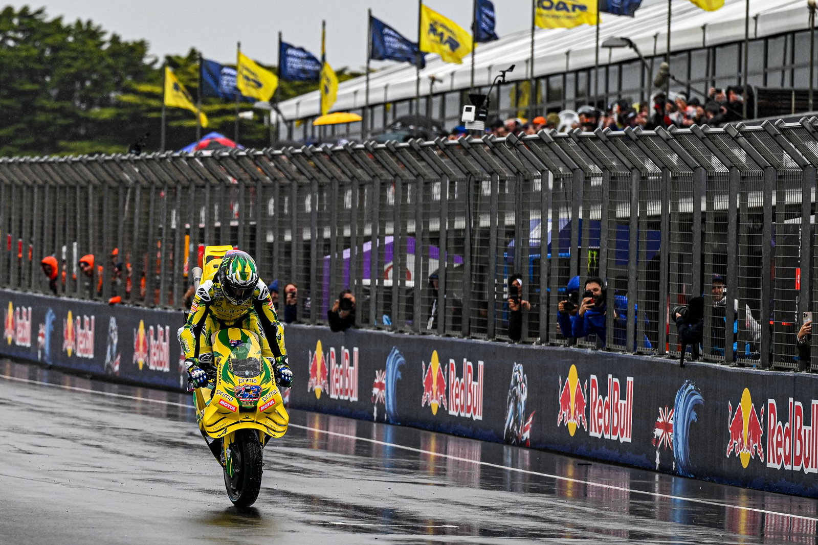Jack Miller performing a stoppie at Phillip Island for his home fans.
