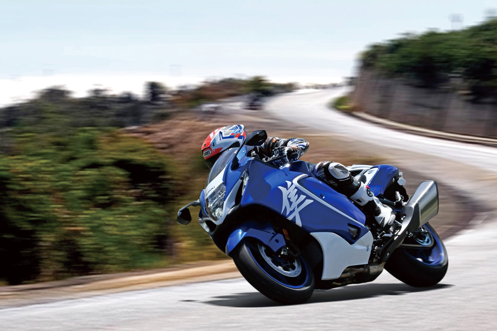 Special Edition Suzuki Hayabusa.