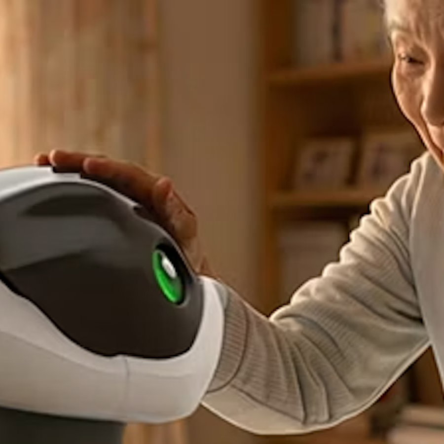 Kawasaki's Home LEO companion robot