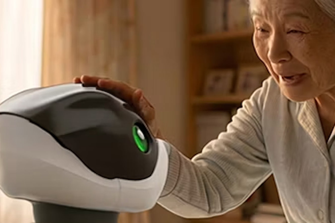 Kawasaki's Home LEO companion robot