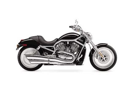 BT1100 Bulldog (2002 - present) review