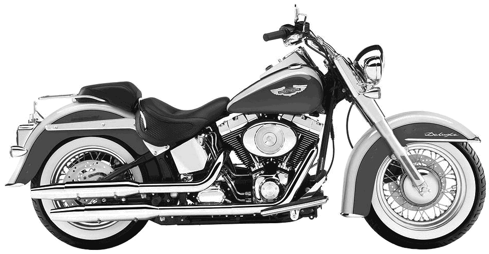 Heritage Springer (FLSTS) review