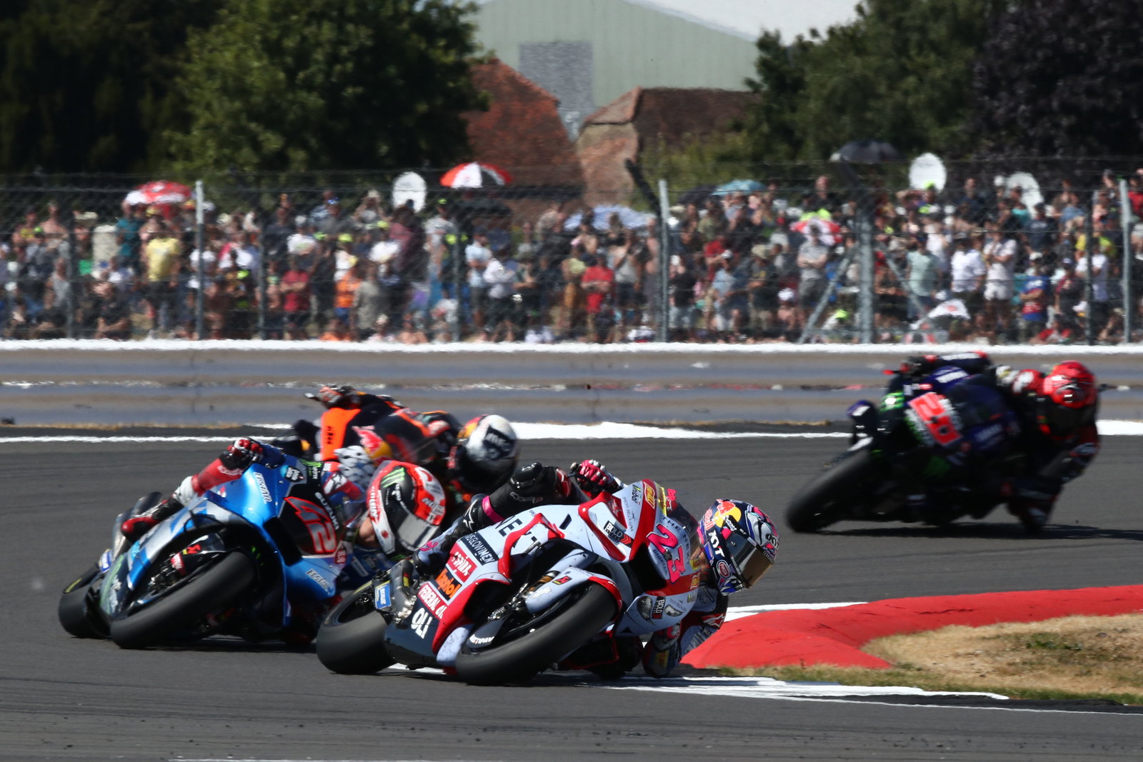 Enea Bastianini, 2022 British Grand Prix. - Gold and Goose