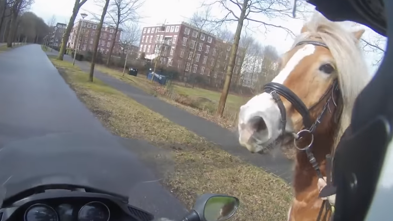 Scooter rider chases runaway horse