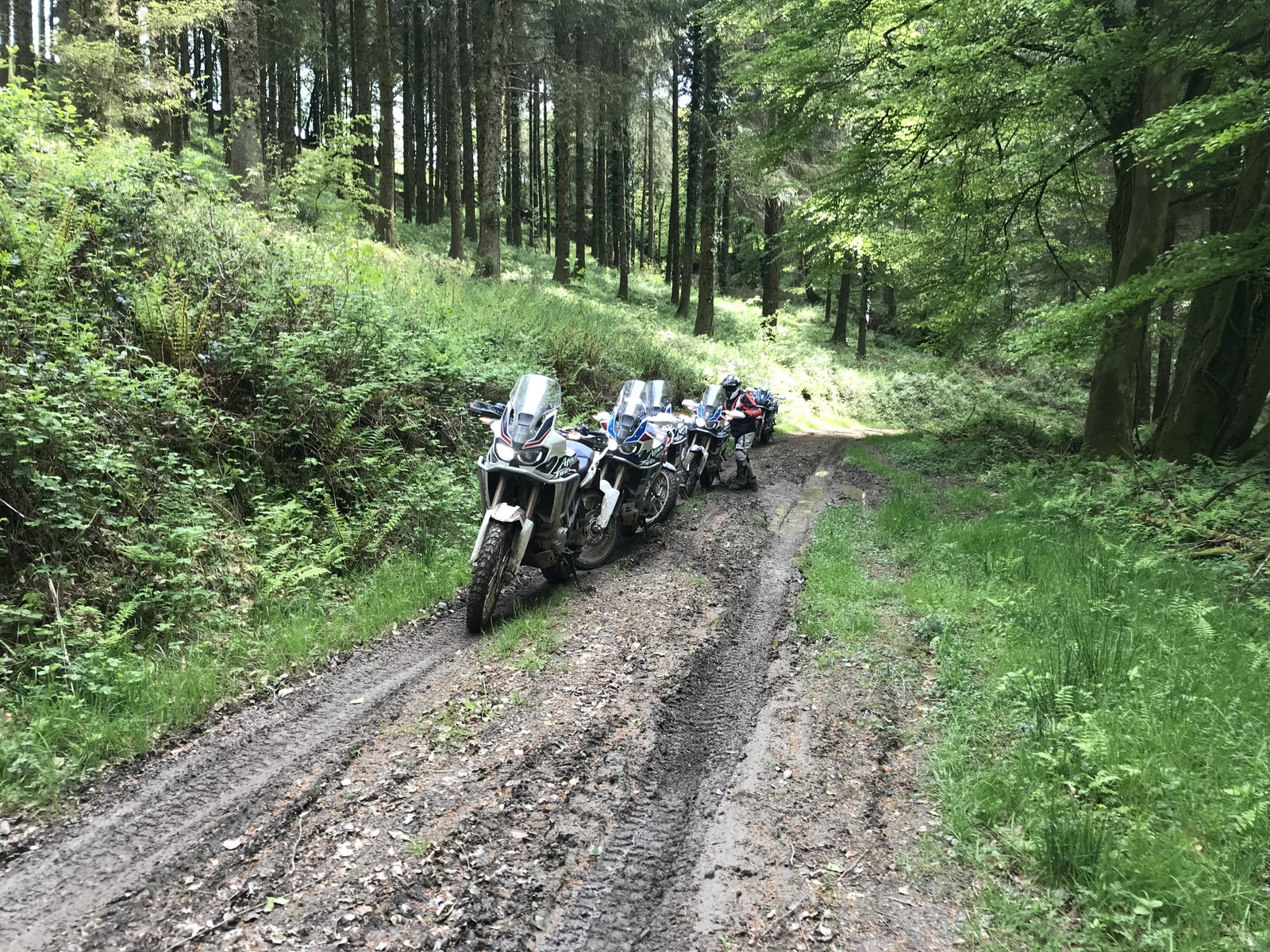 First impressions: Dave Thorpe Off-Road Experience