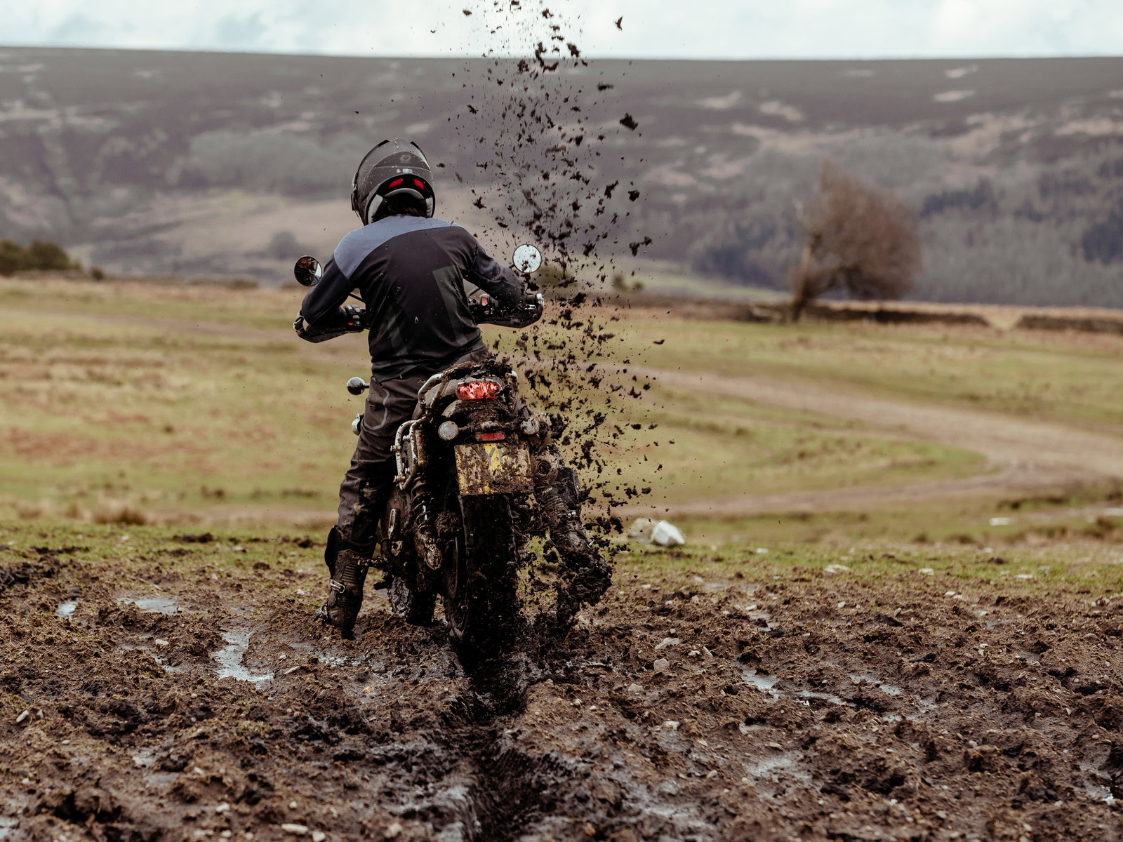 Triumph Scrambler 1200 XC becomes a cowherd