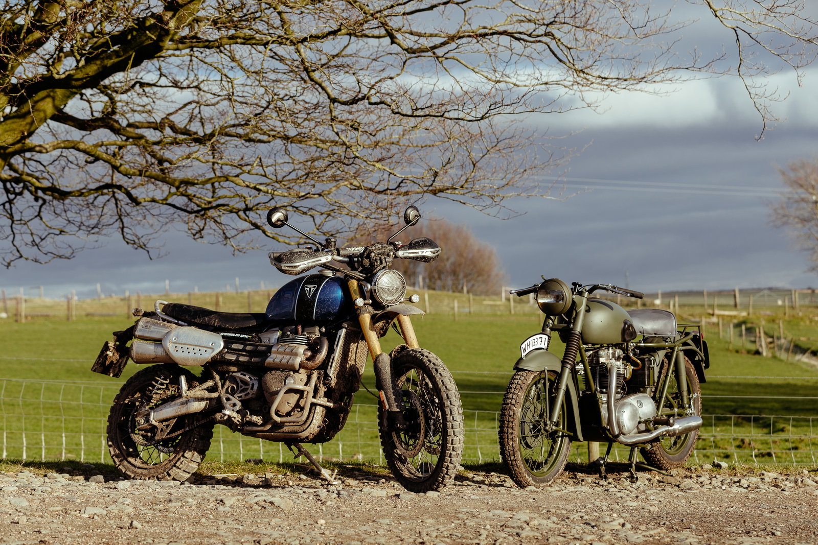 Triumph Scrambler 1200 XC becomes a cowherd