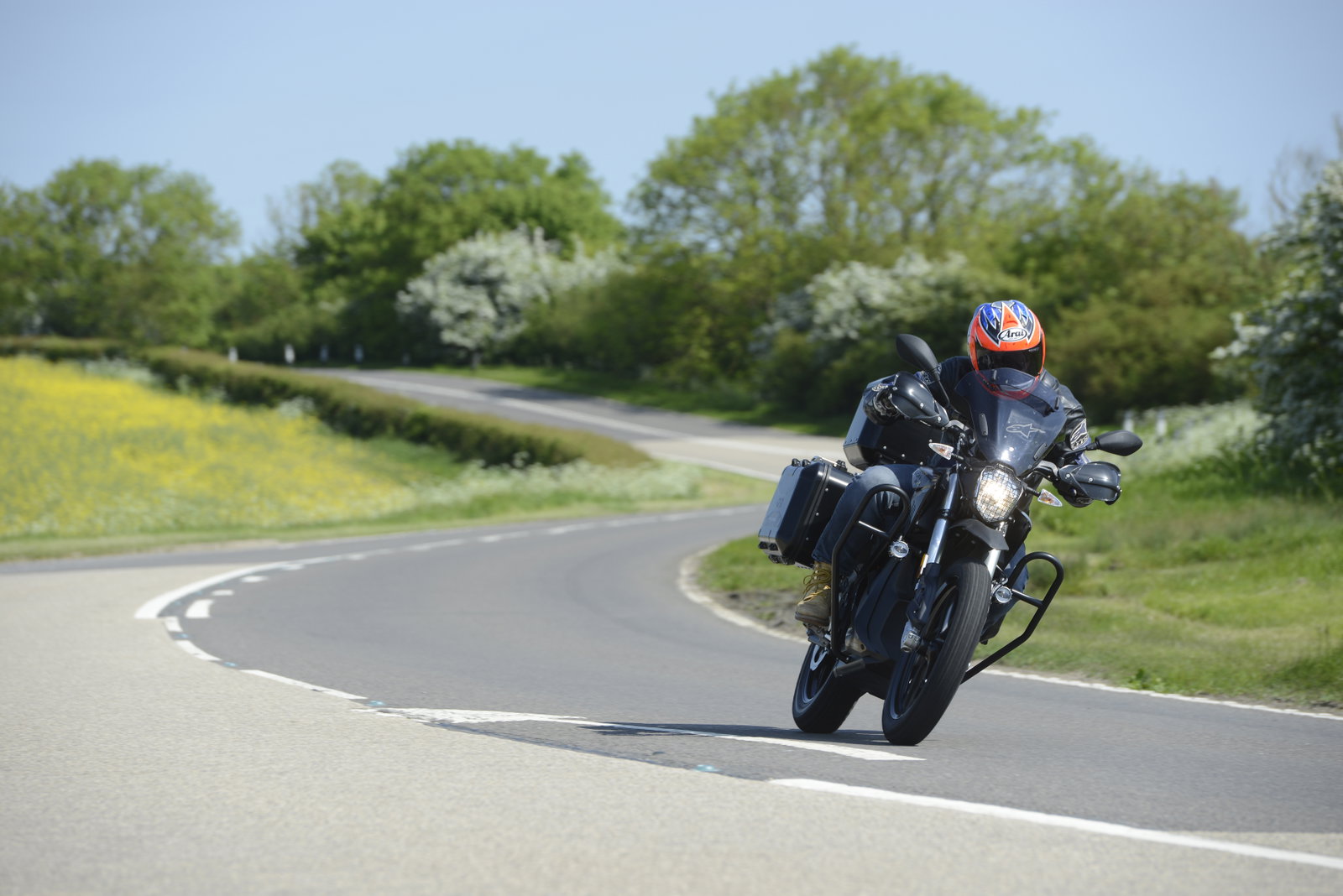 Zero DSR Black Forest: Sorted for trees and whizz