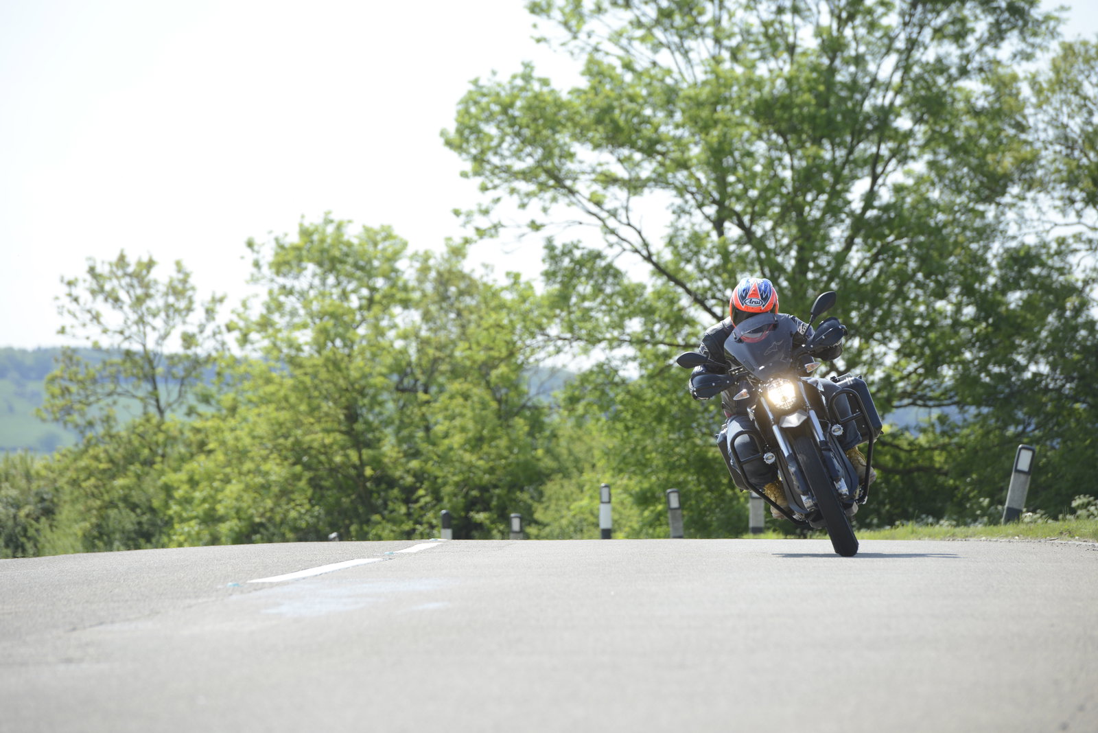 Zero DSR Black Forest: Sorted for trees and whizz