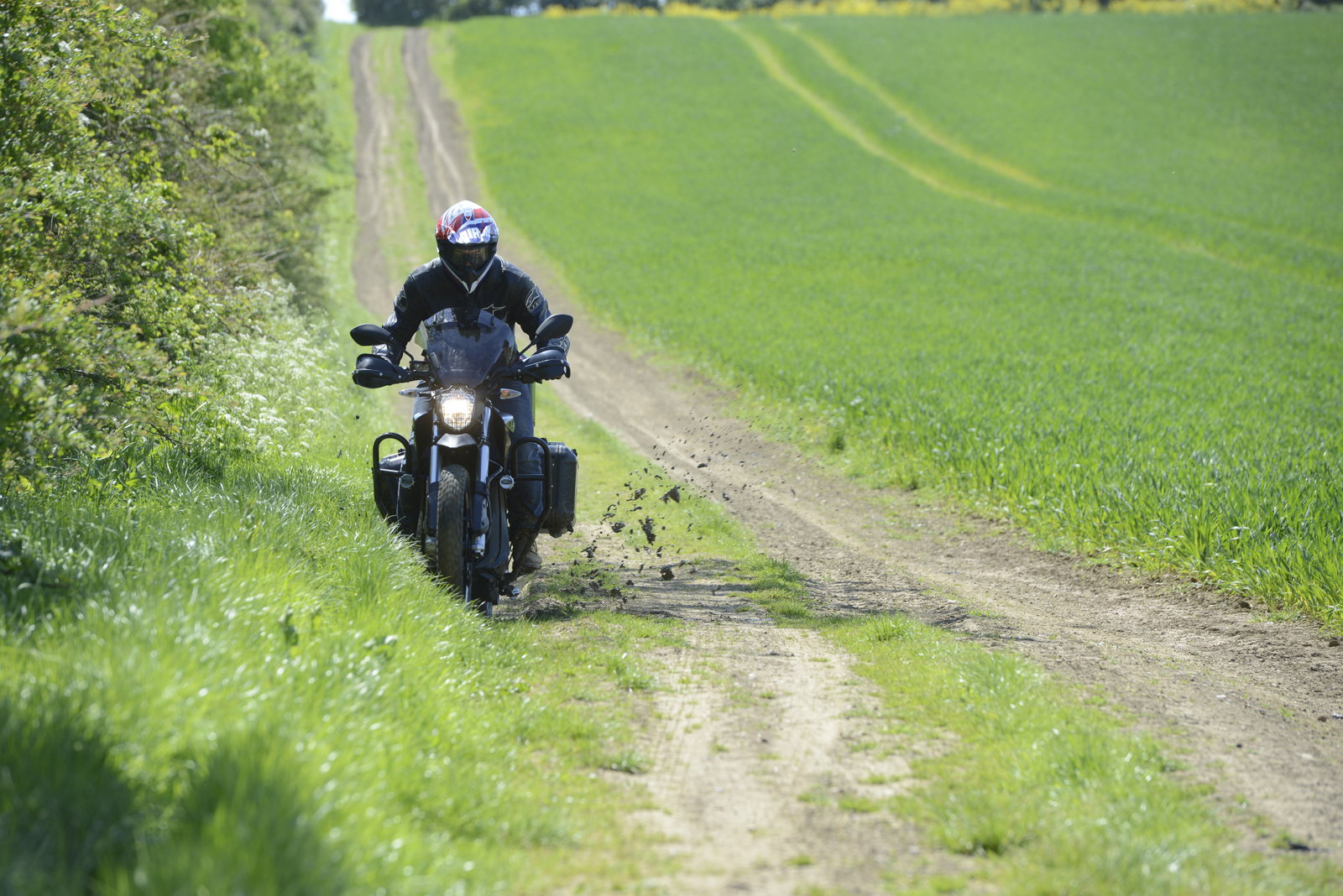 Zero DSR Black Forest: Sorted for trees and whizz