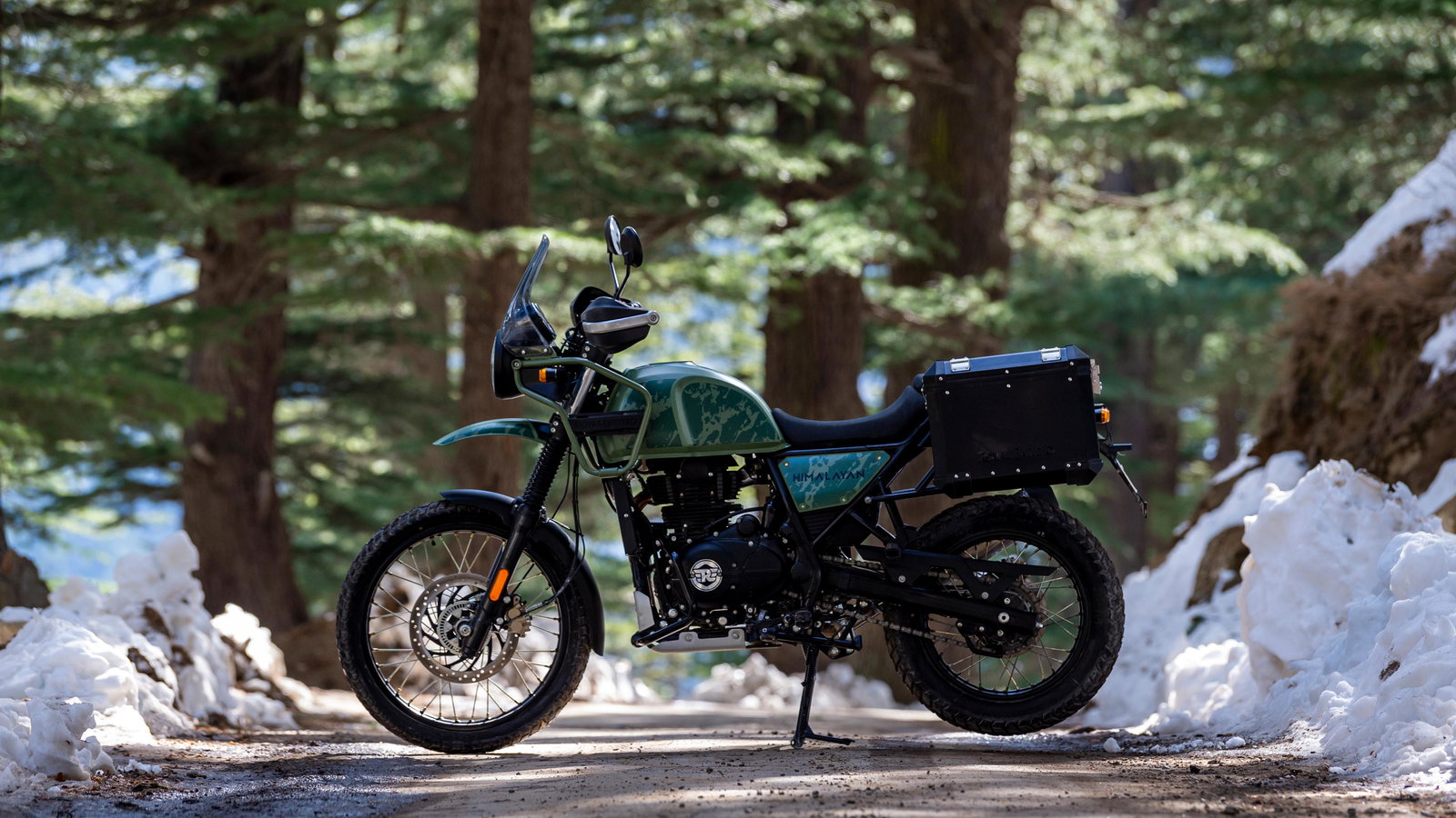 Royal Enfield Himalayan 2021 pine in natural habitat