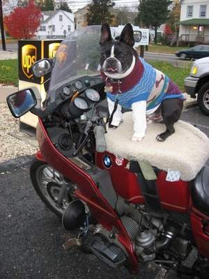 Prince Harry rents a Harley in Vegas