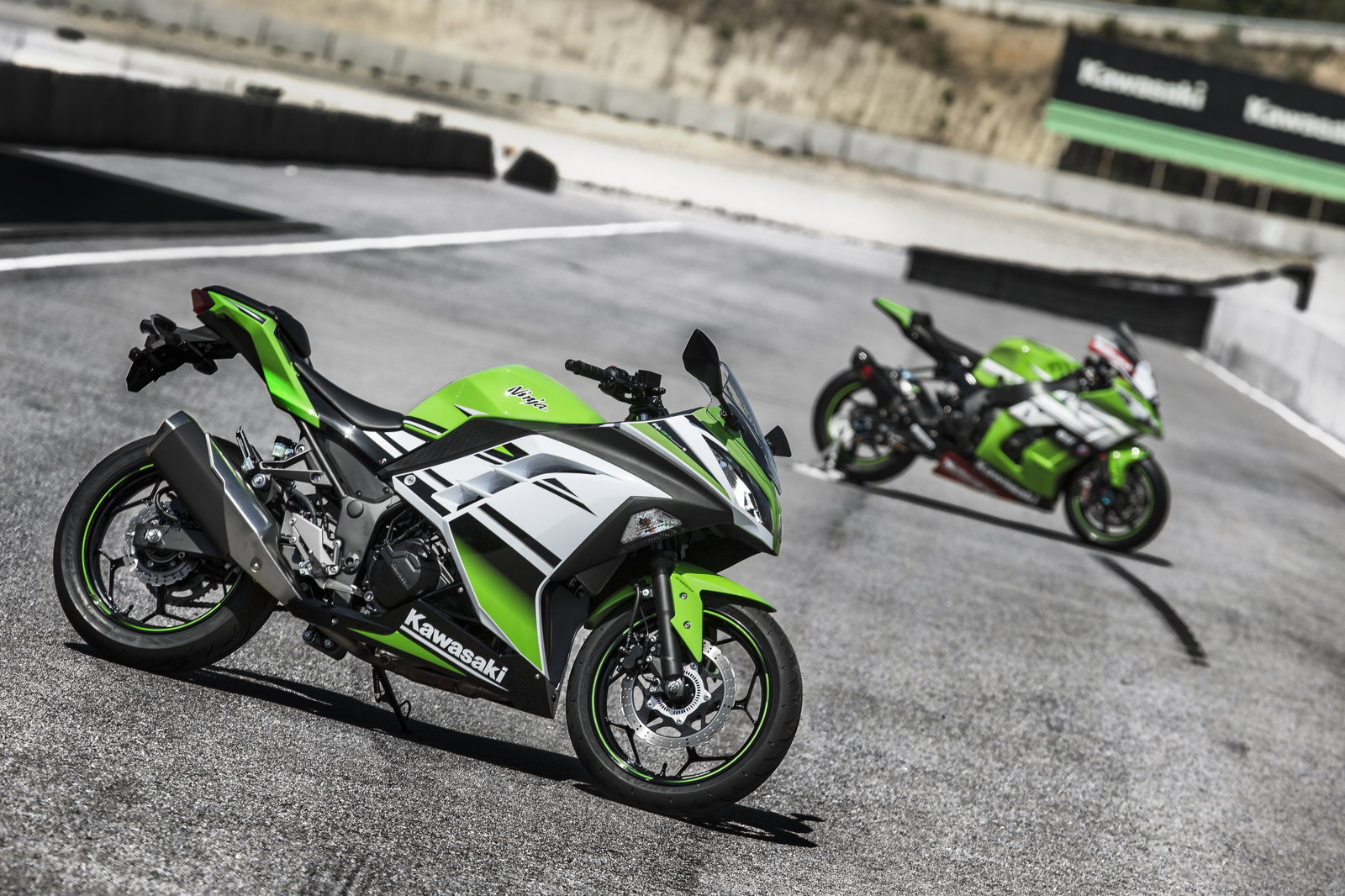 Revealed: Special edition 30th anniversary Ninja 300 | Visordown