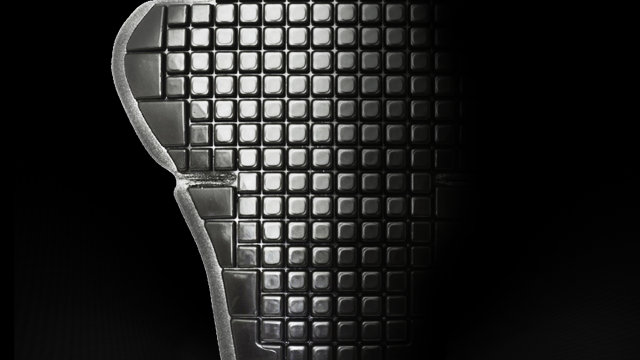 Spidi back protector