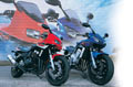 Splitting heirs: Suzuki GSF600 V GSF1200
