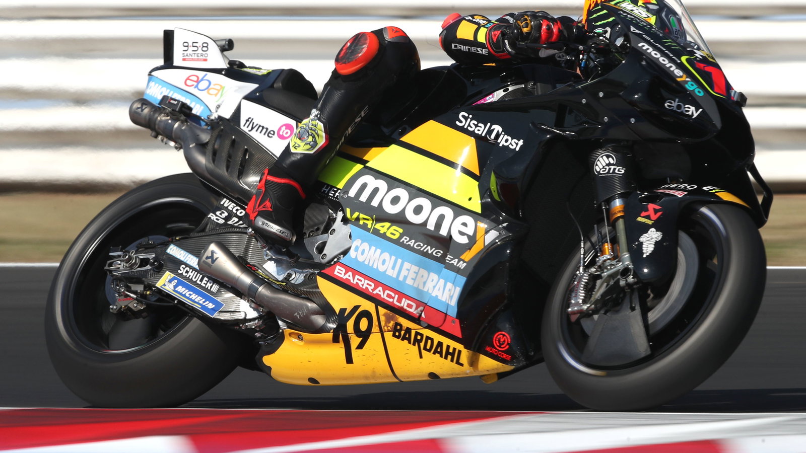 Marco Bezzecchi, 2023 MotoGP San Marino Grand Prix. - Gold and Goose