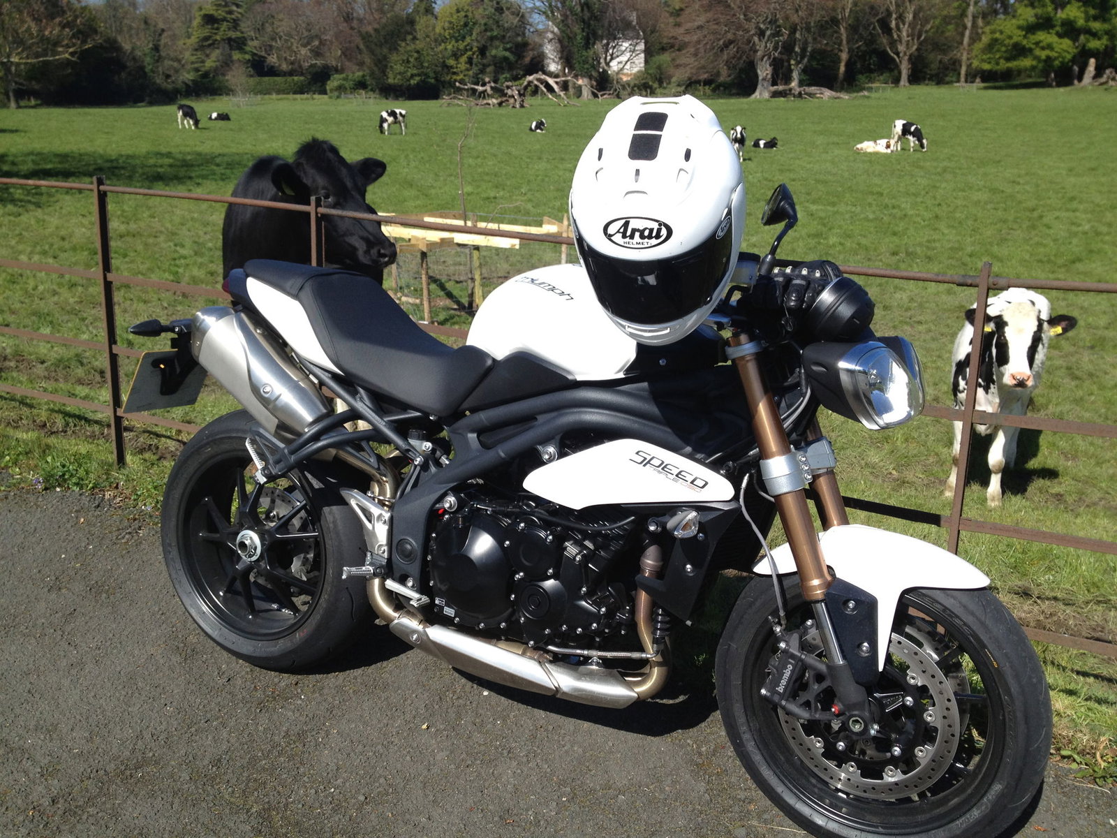 First Ride: 2012 Triumph Street Triple R review