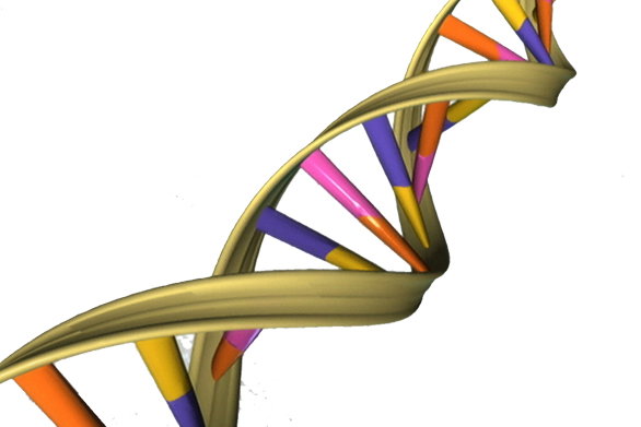 Donington's Dunlop Bridge to be sold