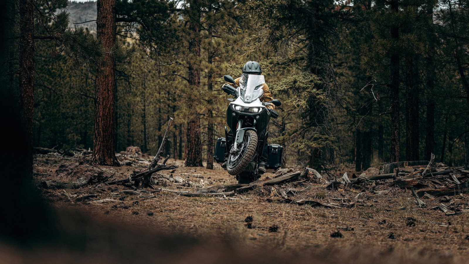 Zero DSR/X parked in woods