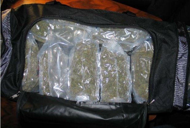 Biker knocked off by bus is sent high-vis jacket and advice for cyclists