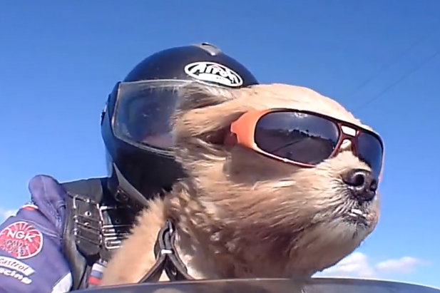 BMW R1200GS fault may cause oil to leak on tyre