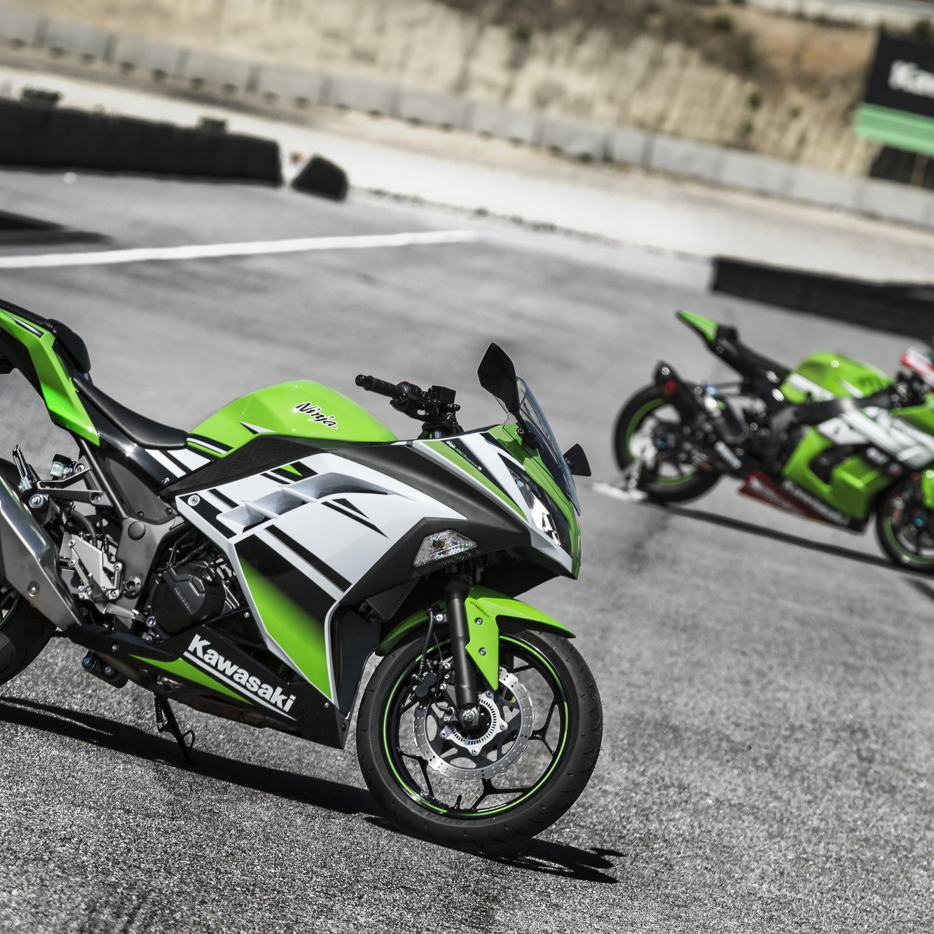 Revealed: Special edition 30th anniversary Ninja 300 | Visordown