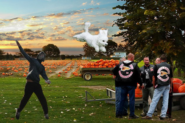 Friends take deceased's body from accident following bike smash