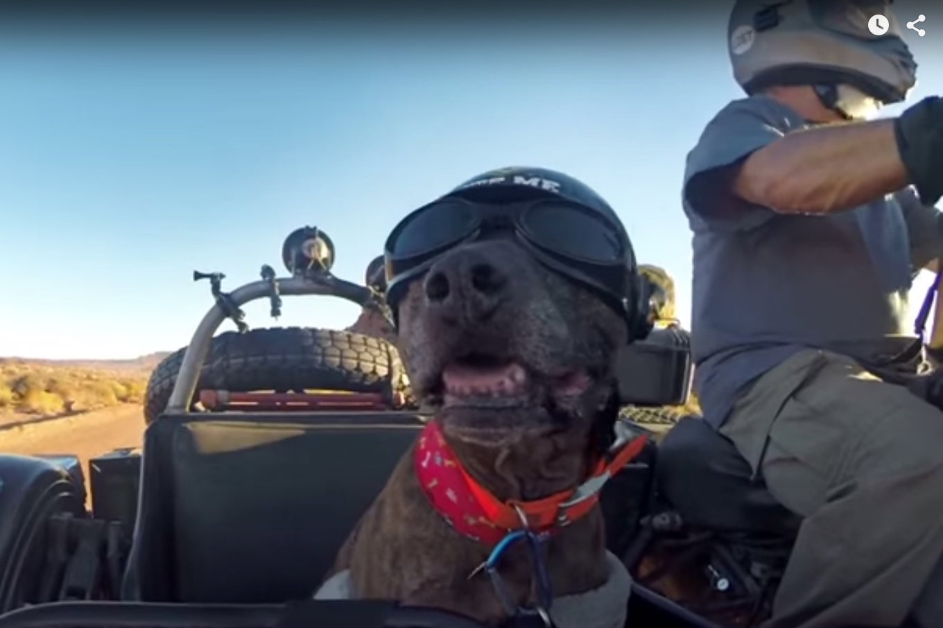 World's fastest woman crashes in record speed attempt