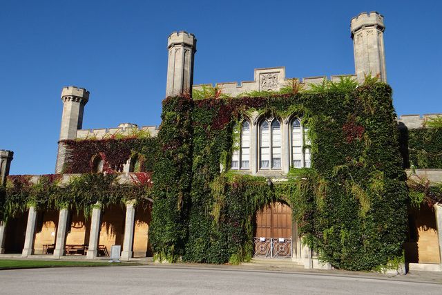 Guy Martin to race David Coulthard in one-off Channel 4 special