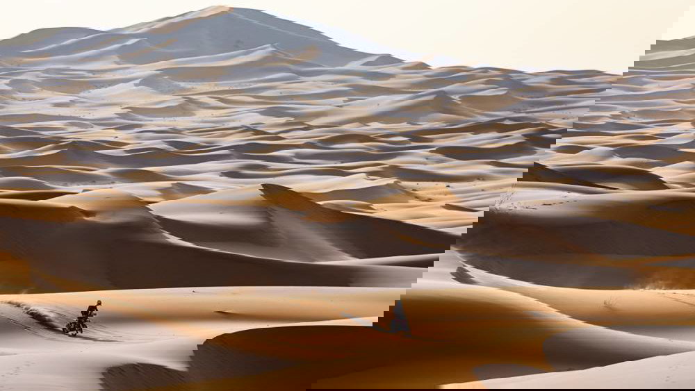 Dakar Rally racing through the desert