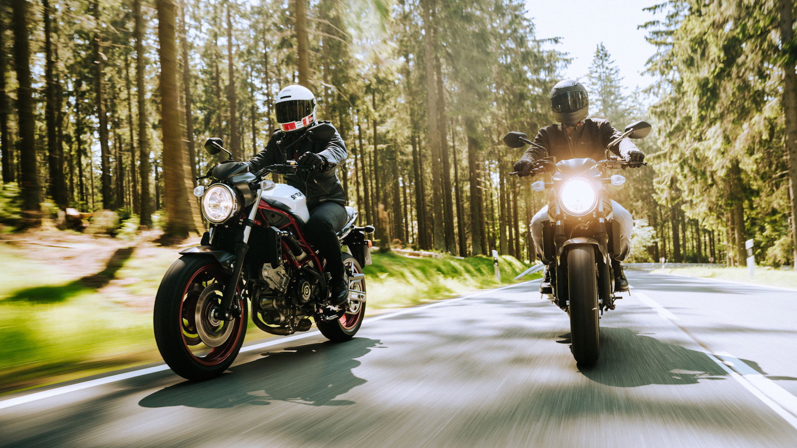 Two Suzuki SV650s riding through woodland