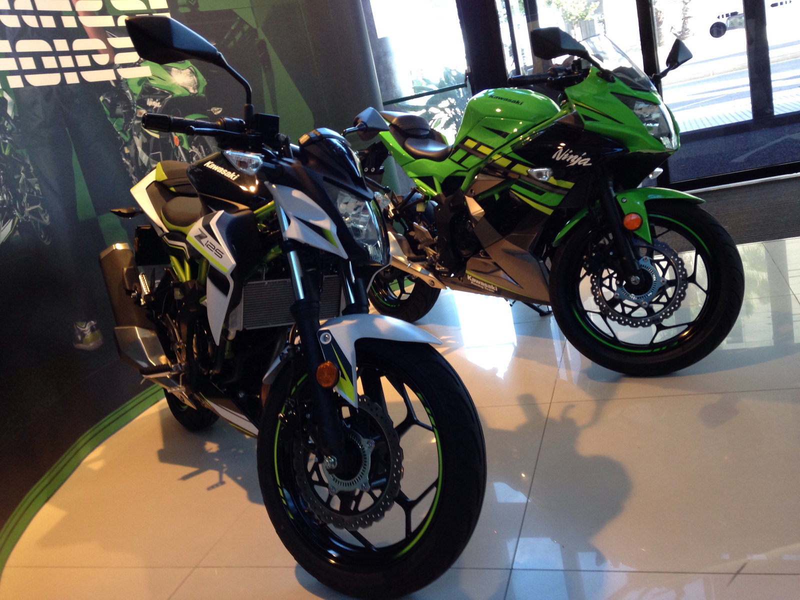 決定 Kaedear レーシングウィンドアーマー Ninja ZX-25R・ZX-4R専用