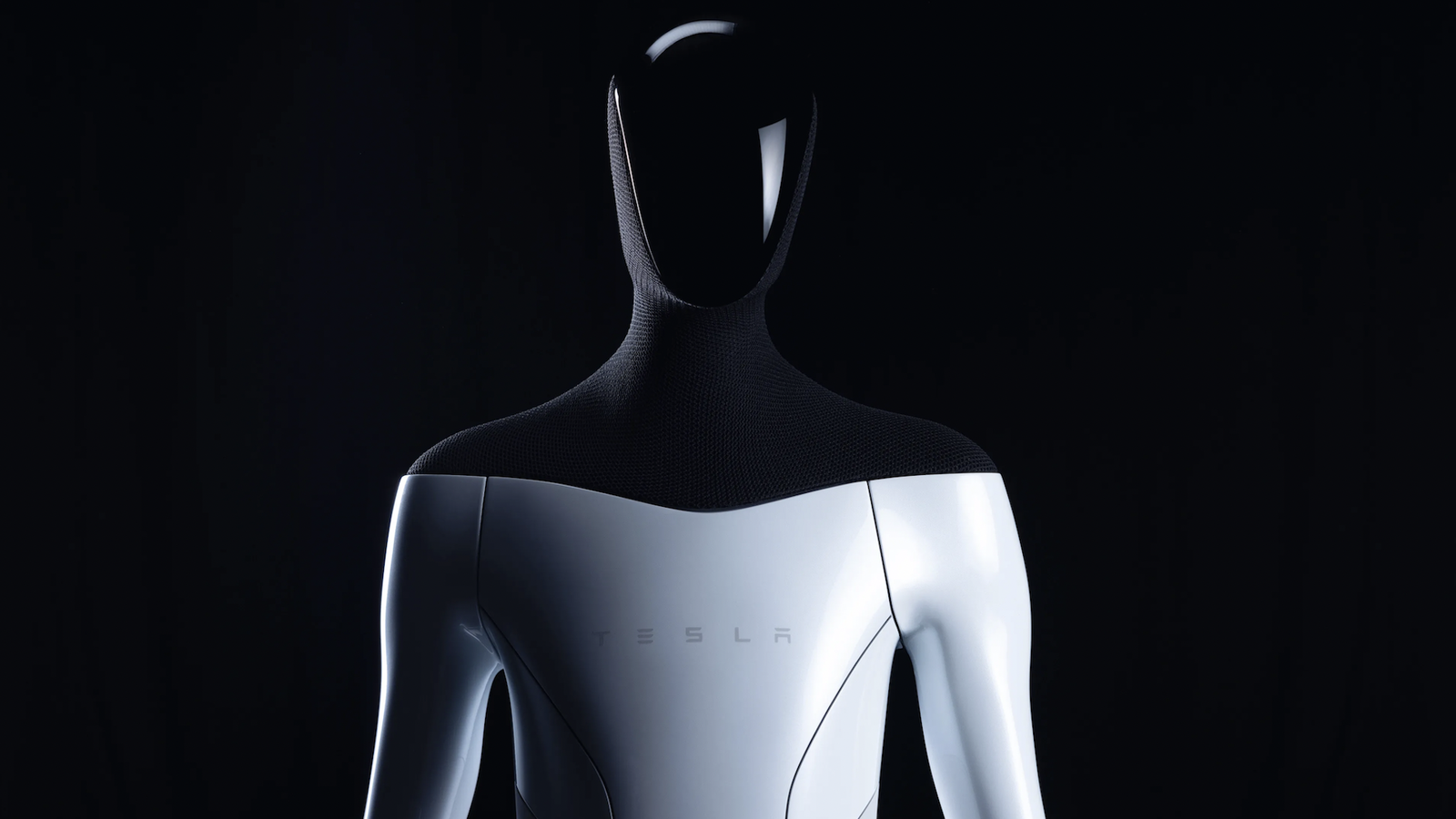 The 'Tesla Bot' set to make future fantasy (and my nightmares) a ...