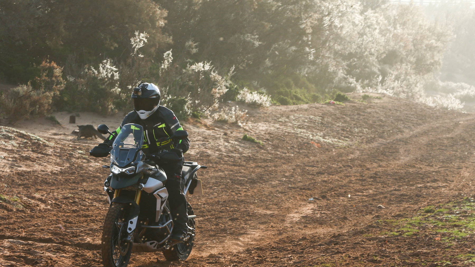 Triumph Tiger 900 T-Plane engine explained | Visordown