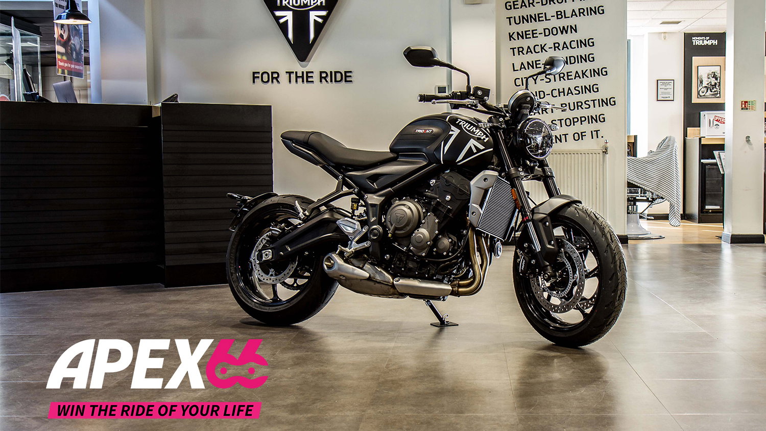 Apex 66 Triumph Trident 660 Dealership