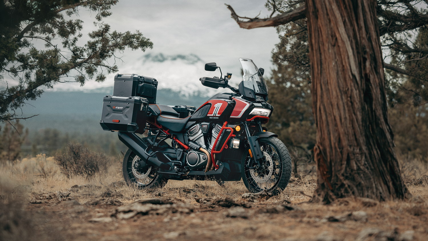 2024 Harley-Davidson CVO Pan America