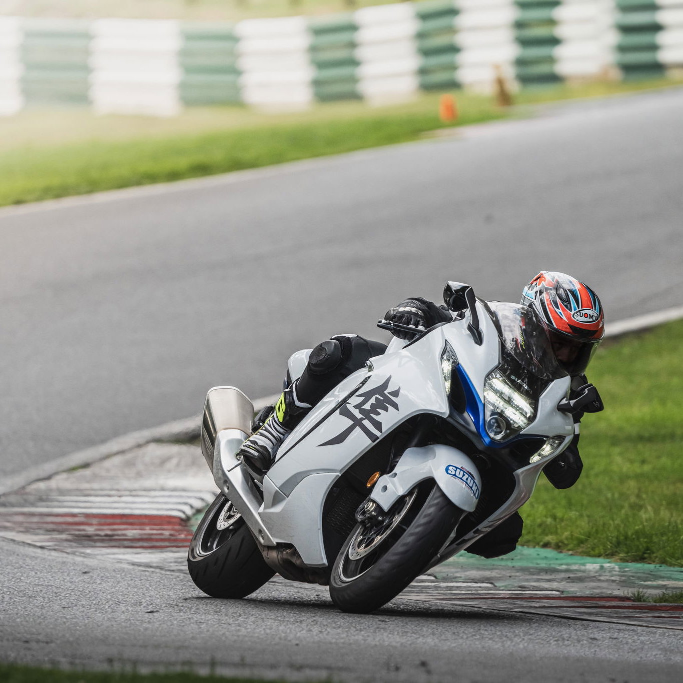 suzuki_live_cadwell