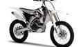 Scoop: new 2009 Yamaha YZF250